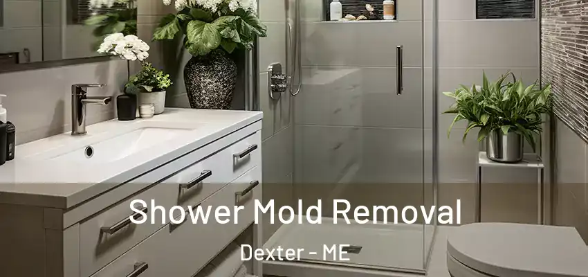 Shower Mold Removal Dexter - ME