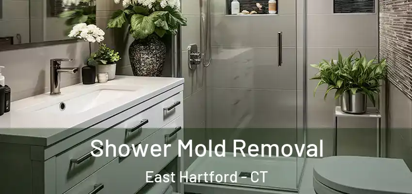 Shower Mold Removal East Hartford - CT