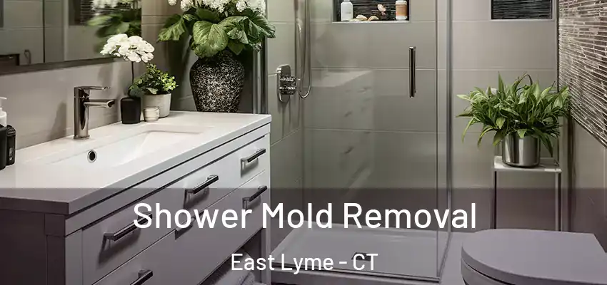 Shower Mold Removal East Lyme - CT
