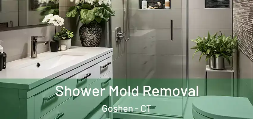  Shower Mold Removal Goshen - CT