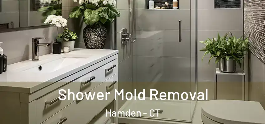 Shower Mold Removal Hamden - CT