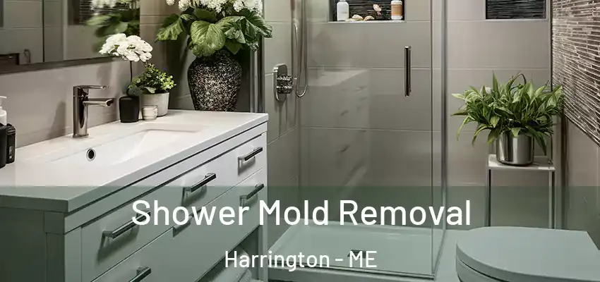 Shower Mold Removal Harrington - ME