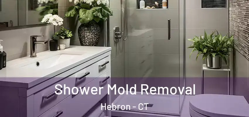  Shower Mold Removal Hebron - CT