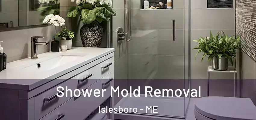  Shower Mold Removal Islesboro - ME