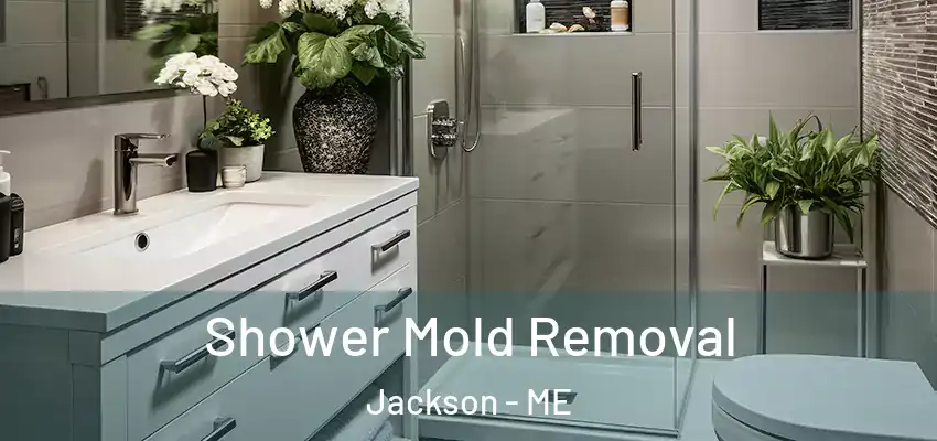 Shower Mold Removal Jackson - ME