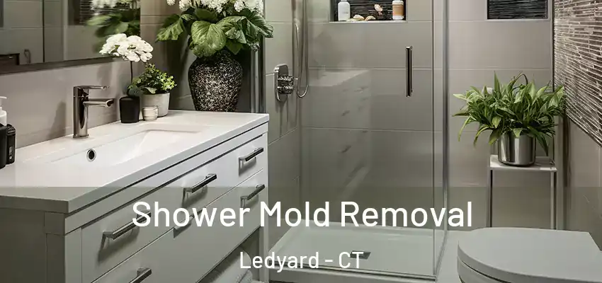 Shower Mold Removal Ledyard - CT