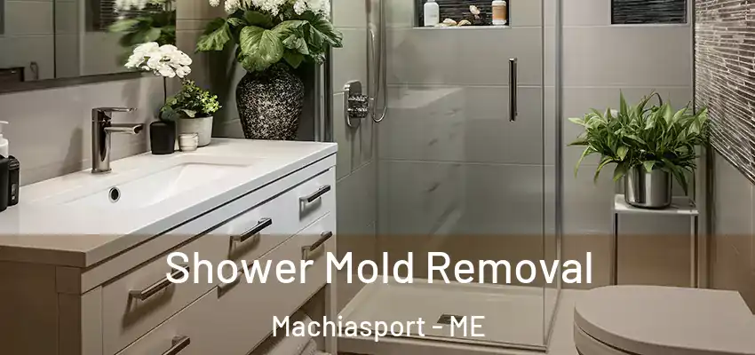  Shower Mold Removal Machiasport - ME