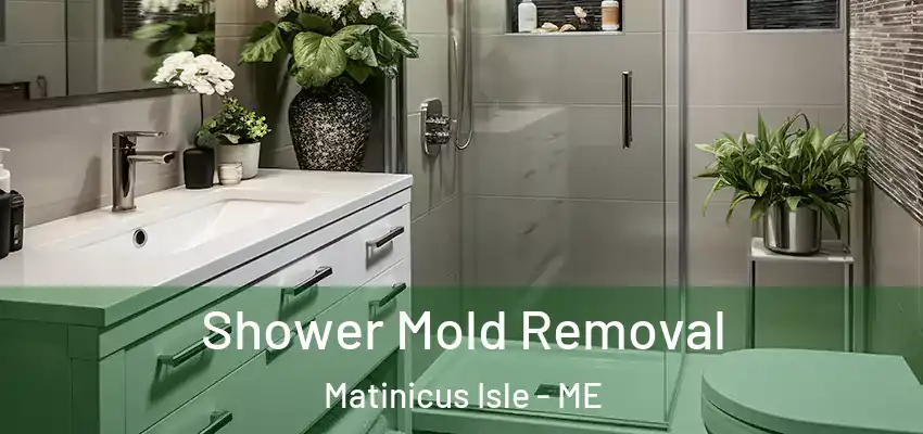  Shower Mold Removal Matinicus Isle - ME