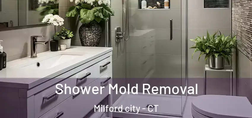  Shower Mold Removal Milford city - CT
