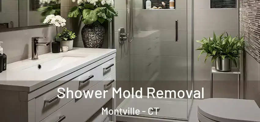 Shower Mold Removal Montville - CT