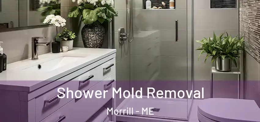 Shower Mold Removal Morrill - ME