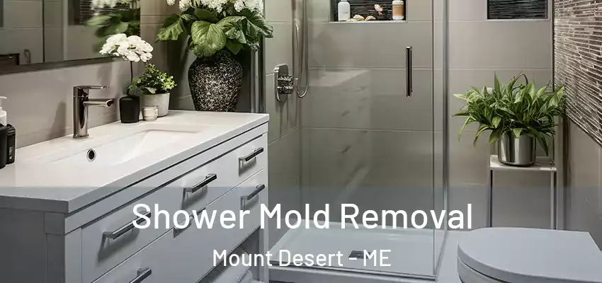 Shower Mold Removal Mount Desert - ME