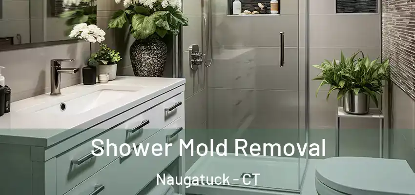Shower Mold Removal Naugatuck - CT
