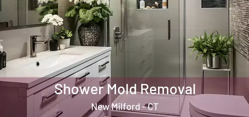 Shower Mold Removal New Milford - CT