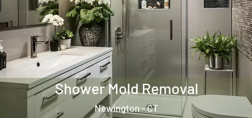 Shower Mold Removal Newington - CT