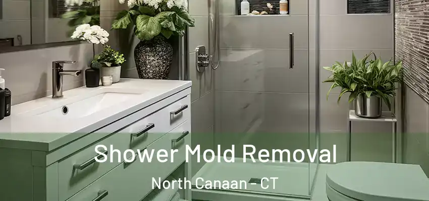  Shower Mold Removal North Canaan - CT