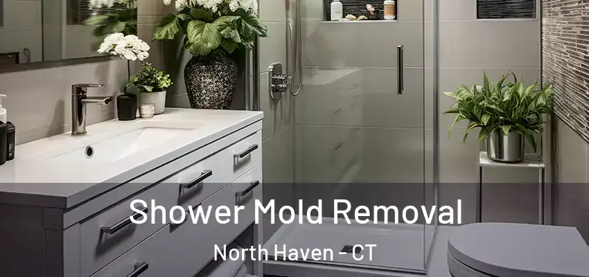  Shower Mold Removal North Haven - CT