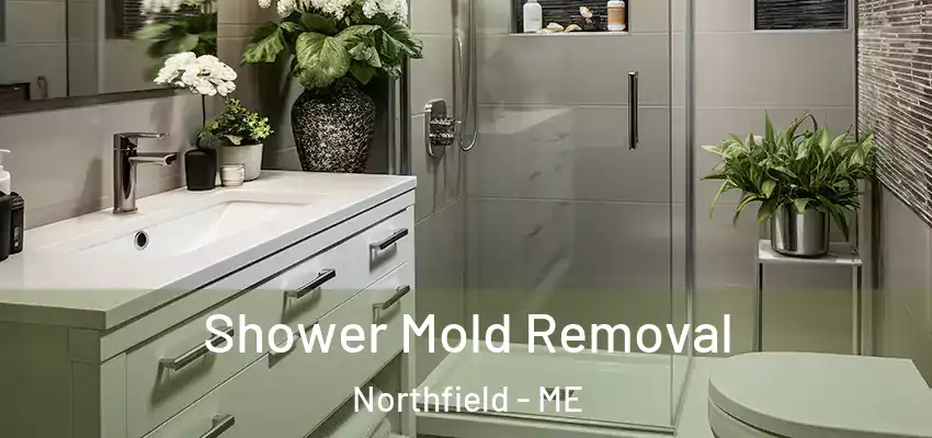  Shower Mold Removal Northfield - ME