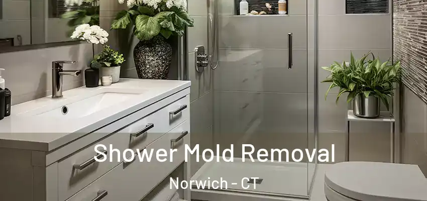  Shower Mold Removal Norwich - CT