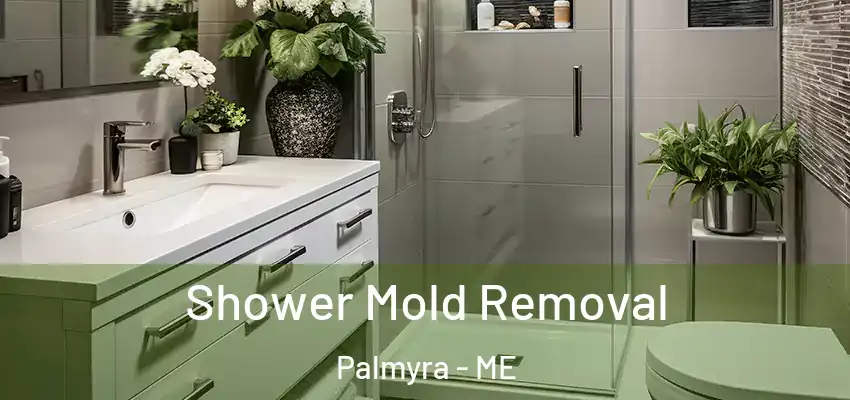  Shower Mold Removal Palmyra - ME