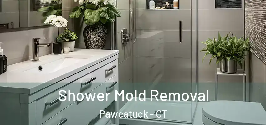 Shower Mold Removal Pawcatuck - CT