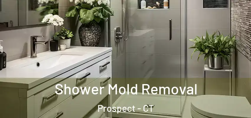 Shower Mold Removal Prospect - CT