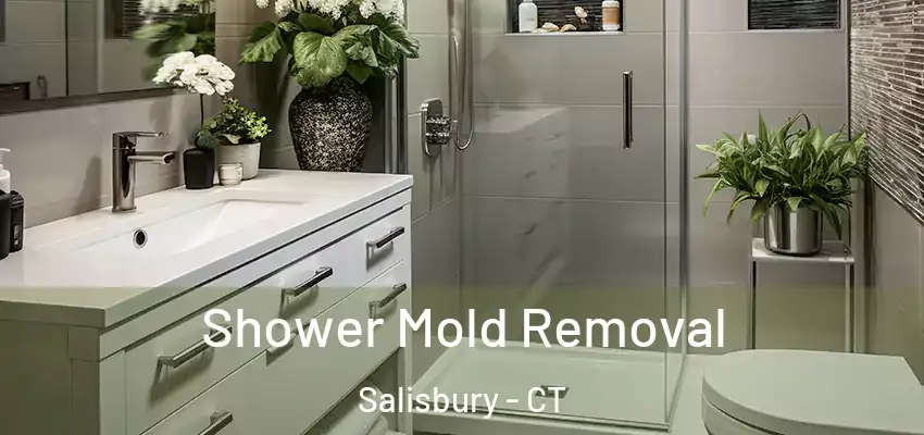  Shower Mold Removal Salisbury - CT