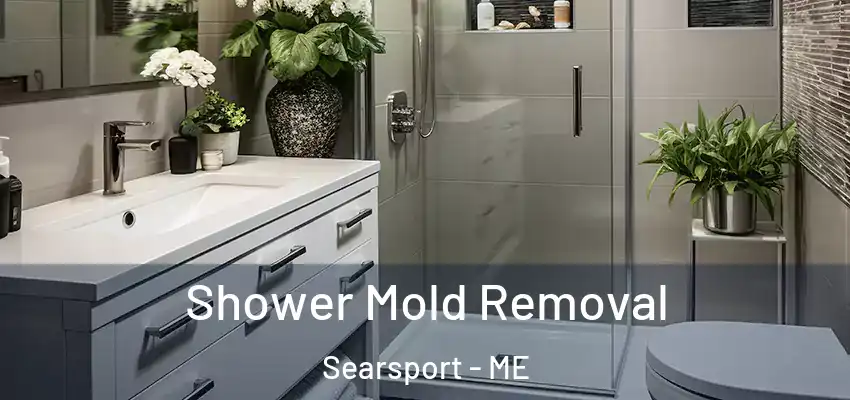  Shower Mold Removal Searsport - ME