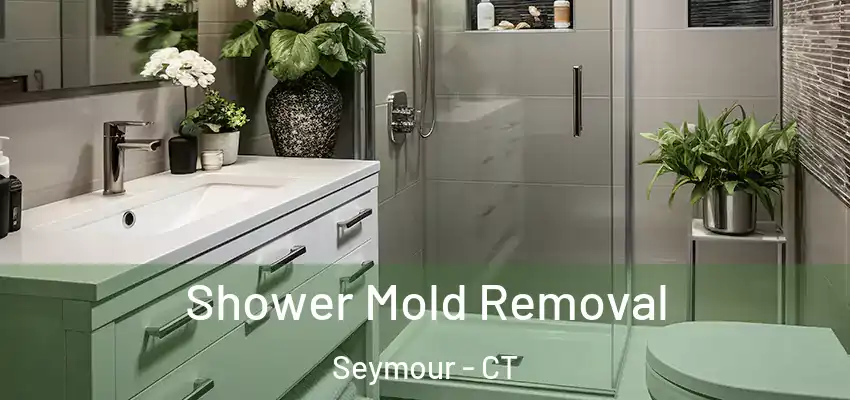  Shower Mold Removal Seymour - CT