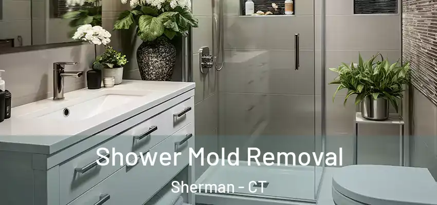 Shower Mold Removal Sherman - CT