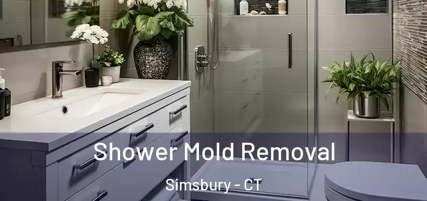 Shower Mold Removal Simsbury - CT