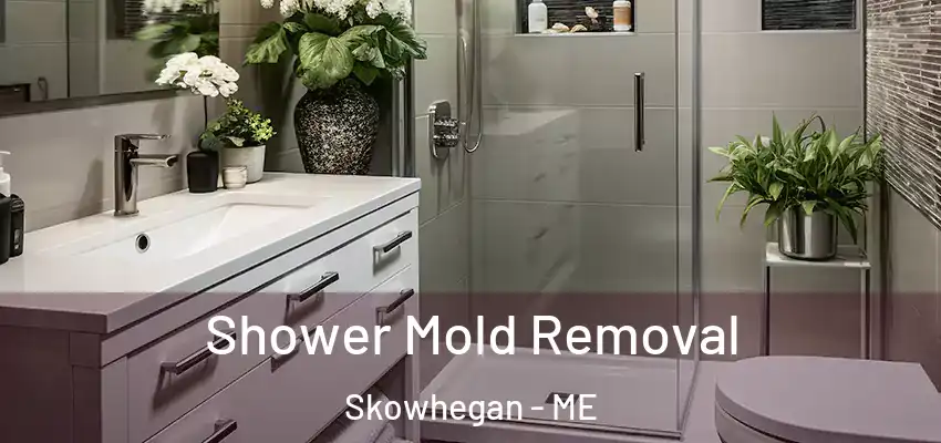 Shower Mold Removal Skowhegan - ME