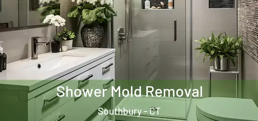 Shower Mold Removal Southbury - CT