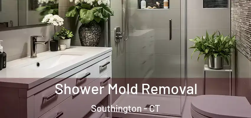 Shower Mold Removal Southington - CT