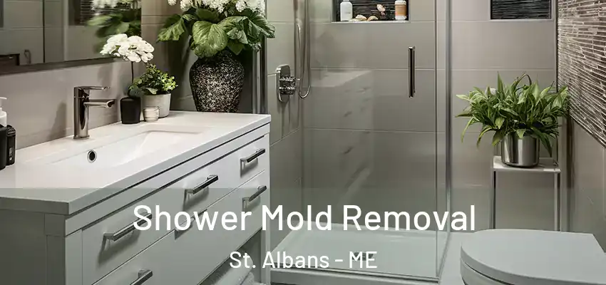  Shower Mold Removal St. Albans - ME