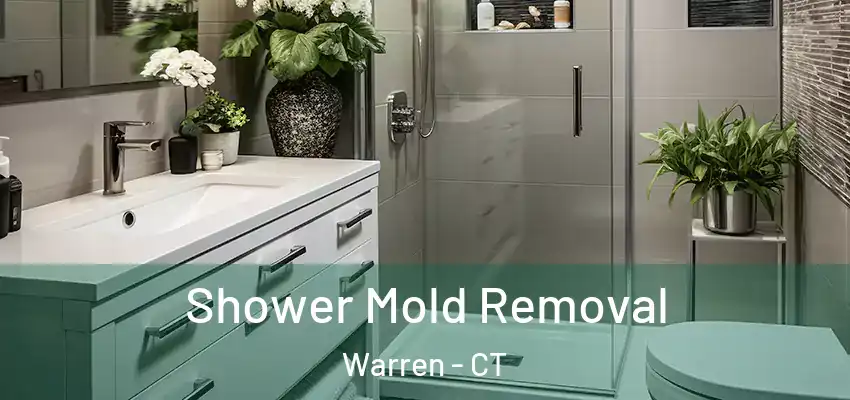  Shower Mold Removal Warren - CT