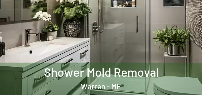Shower Mold Removal Warren - ME