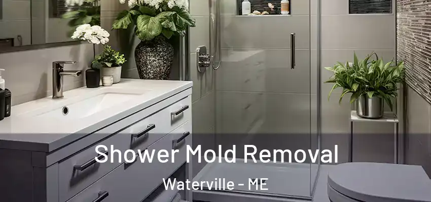 Shower Mold Removal Waterville - ME