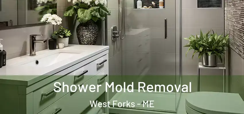 Shower Mold Removal West Forks - ME