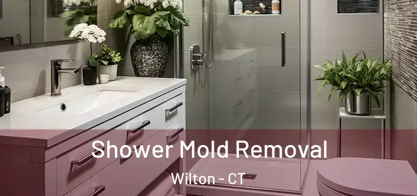 Shower Mold Removal Wilton - CT