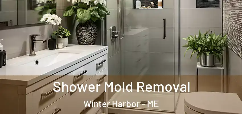Shower Mold Removal Winter Harbor - ME